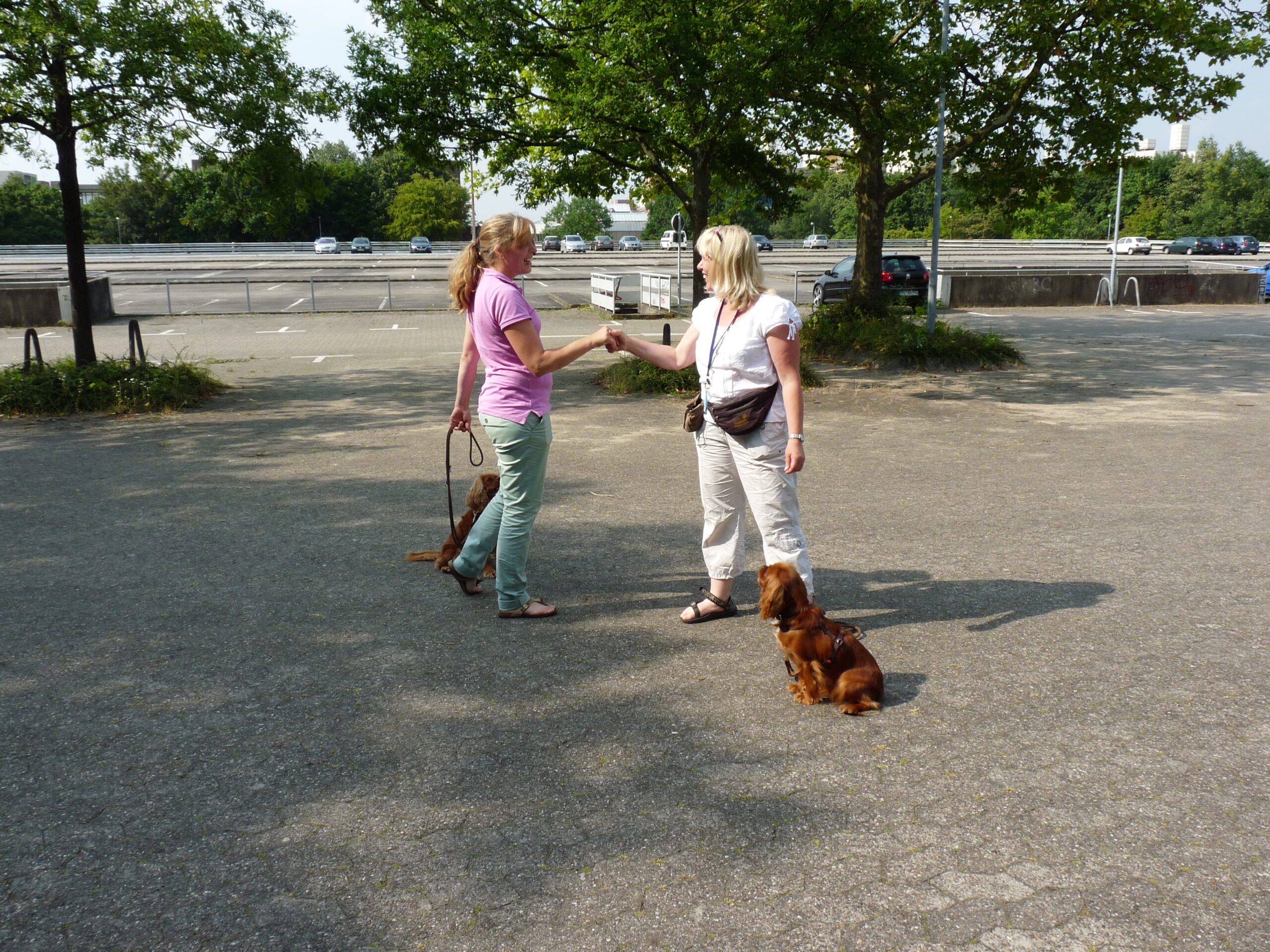 2 Frauen beim Training innerhalb einer offenen Trainingsgruppe gemeinsam mit ihren Hunden