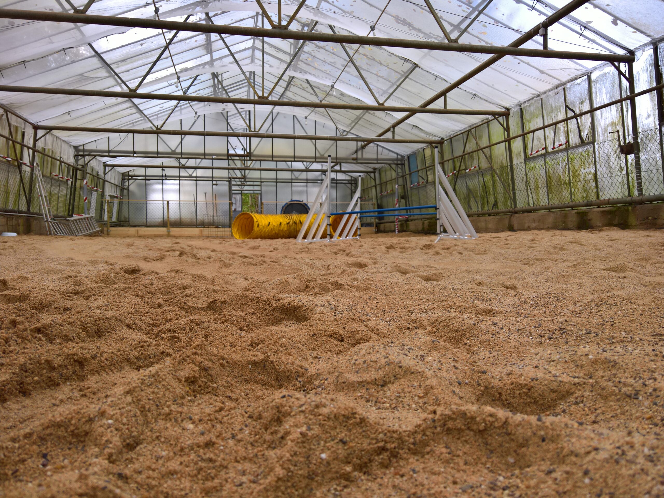 Bild des Trainingsgeländes (altes Gewächshaus)