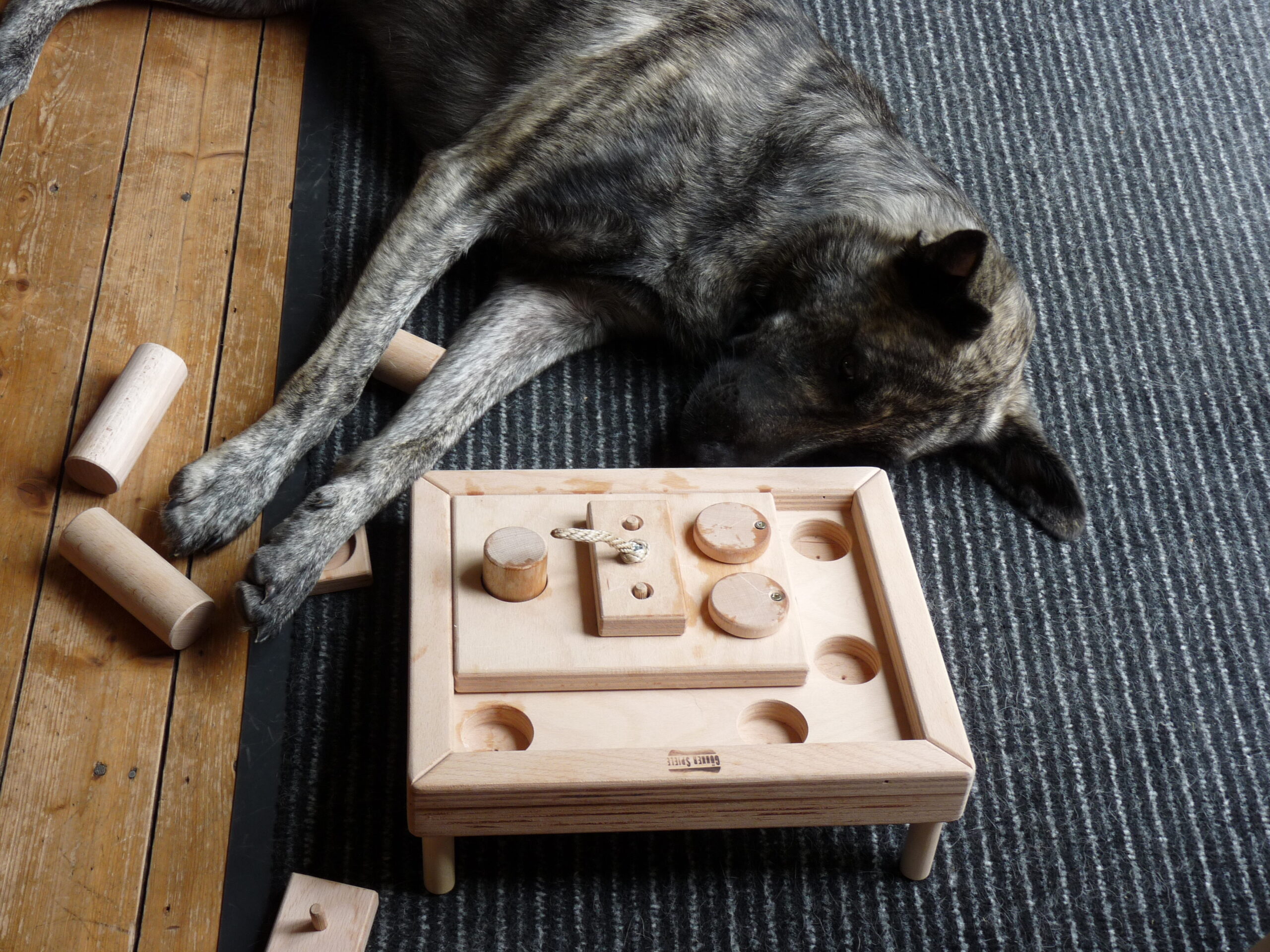 Hund liegt neben Holzspielzeug auf einem schwarten Teppich und schläft