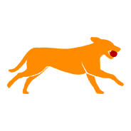 Picocoaching Logo (oranger Hund mit rotem Ball im Mund)