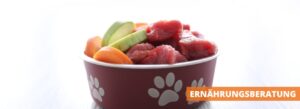 Ernährungsberatung für Hunde