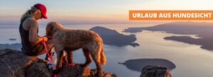Urlaub aus Hundesicht
