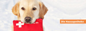 Hausapotheke für Hunde