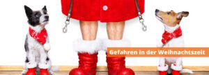 Gefahren in der Weihnachtszeit